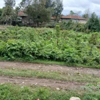 ۵۰۰ متر زمین داخل طرح هادی در جاده قلعه رودخان