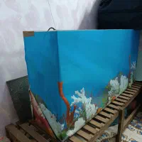 اکواریوم بزرگ|ماهی|خوسف, |دیوار