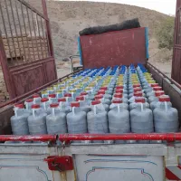 پخش انواع خیارشور همدان