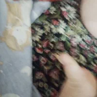 دوتا قالی دوازده متری