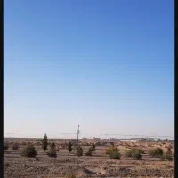 زمین تجاری