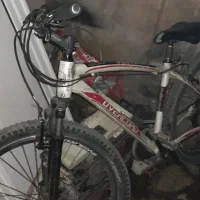 ۳ عدد دوچرخه