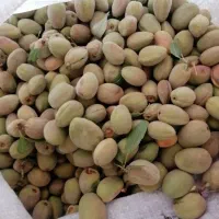 بادام نیمه سنگی ارگانیک