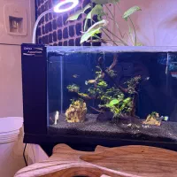 اکواریوم کامل