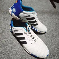 کفش اورجینال صالونی|کیف، کفش، کمربند|کارون, |دیوار