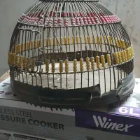 پنکه زودپز صندلی|پنکه و تصفیه‌کنندهٔ هوا|قم, خاکفرج|دیوار