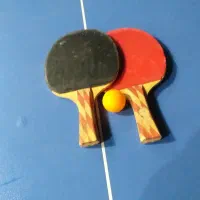 میز پینگ پنگ|ورزش‌های توپی|مشهد, مقدم|دیوار