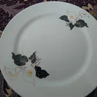سرویس فنجان وپشقاب چینی جنس خوب|ظروف سرو و پذیرایی|اصفهان, ستار|دیوار
