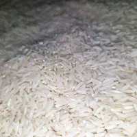 برنج طارم اعلا و درجه یک بدون ناخالصی فریدونکنار|خوردنی و آشامیدنی|فریدون‌کنار, |دیوار