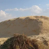 کاه و یونجه|عمده‌فروشی|رباط‌کریم, شهرک صنعتی زواره‌ای|دیوار