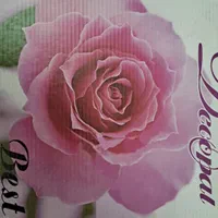 سرویس هفت پارچه نو|ظروف سرو و پذیرایی|تهران, سلسبیل جنوبی|دیوار