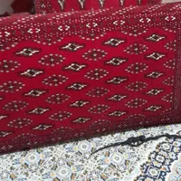 قالی وپشتی دستباف|فرش|صدرا-فارس, فاز ۱|دیوار