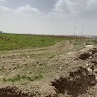 زمین زراعی