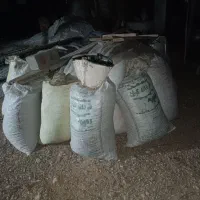 پوست بادام