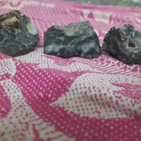 سرگرمی و اوقات فراغت