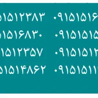 ۰۹۱۵۱۵۱۴۸۶۲