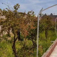 باغ-ویلا-جلال-آباد