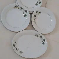 بشقاب|ظروف سرو و پذیرایی|مسجد سلیمان, |دیوار