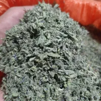 پونه کوهی