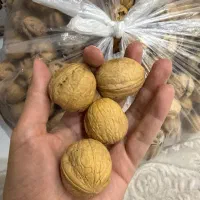 گردو خشک پوست کاغذی سفید
