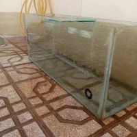 اکواریوم|ماهی|سبزوار, همت|دیوار