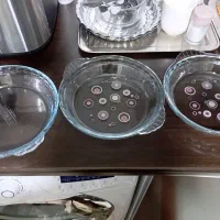 لوازم اشپزخانه|ظروف سرو و پذیرایی|دینور, |دیوار