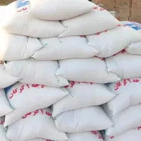 برنج دم سیاه وفجر