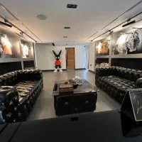 بسته بند و اتو بخار