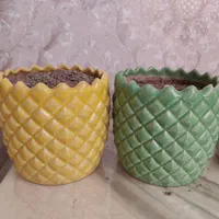 گلدان سفالی|گل و گیاه طبیعی|رباطکریم, شترخوار|دیوار