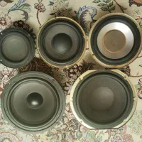 تعدادی باند