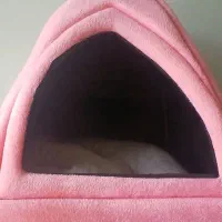 خانه برای گربه و سگ