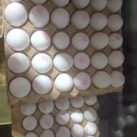 پخش تخم مرغ رضایی|خوردنی و آشامیدنی|تهران, مولوی|دیوار