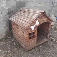 لونه سگ چوب بلوط