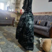 کاپشن  دخترانه|لباس|نورآباد, |دیوار