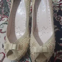 کفش مجلسی نو