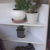 قفسه و کمد|کتابخانه، شلف، قفسه‌های دیواری|تربت‌حیدریه, کاشانی|دیوار