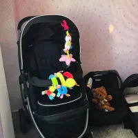 کالسکه و کریر گراکو آمریکایی در حد نو|کالسکه و لوازم جانبی|کیش, |دیوار