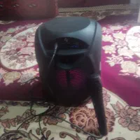 اسپیکرومیکر وفن دار