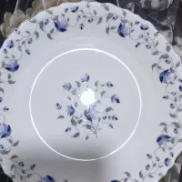 بشقاب برنج خوری آرکوپال امارات