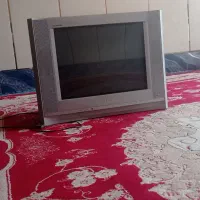 تلوزیون
