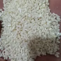 برنج.سالم و نیم دانه|خوردنی و آشامیدنی|بروجرد, |دیوار