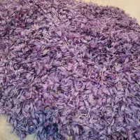 فروش گل زعفران تربت