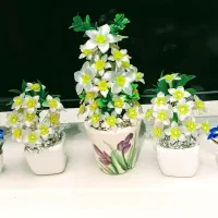 گل‌های کریستالی متنوع و زیبا