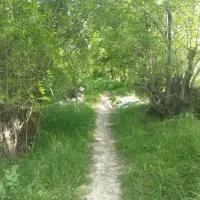 باغچه800-متری-زیبا-در-روستای-گردشگری-مهارلو