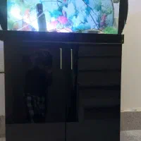 اکواریوم به همراه کمد ام دی اف|ماهی|مشهد, عامل|دیوار