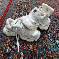 کفش|کیف، کفش، کمربند|باغ ملک, |دیوار