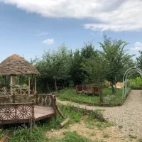 اجاره روزانه سوئیت