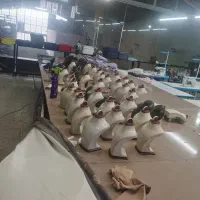 ویترین طلا فروشی و بدلیجات