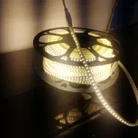 ریسه آفتابی