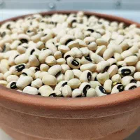 لوبیا چشم بلبلی درجه یک امسالی|خوردنی و آشامیدنی|سوری, |دیوار